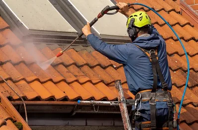 Démoussage et hydrofuge de toiture à Ruffieux